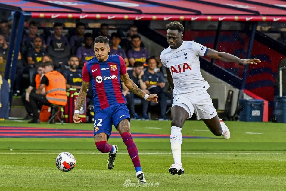 要技术手段 要技术手段